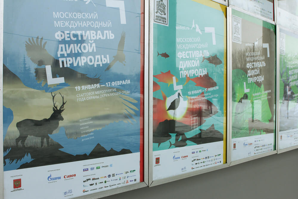 wnfest_2