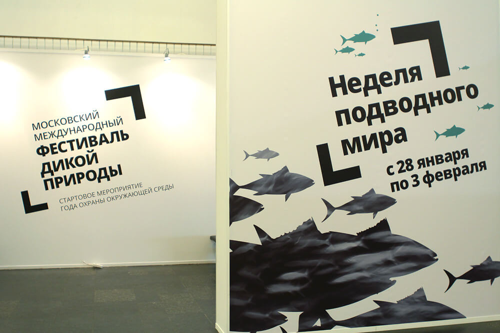 wnfest_4